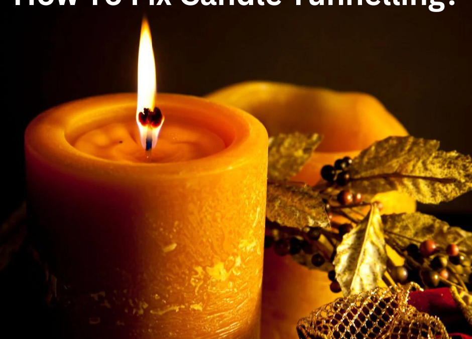 Fragrance Oil vs Essential Oil
