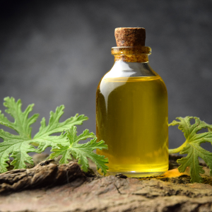 Citronella