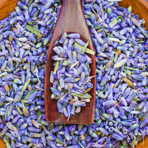 DRIED LAVENDER