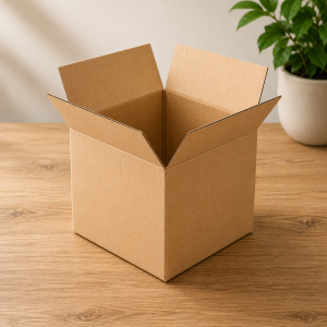 Corrugated Boxes - 10 Pcs