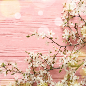 Hello Beautiful - Inspired by Bath N Body Works