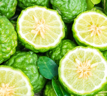 Bergamot Essential Oil