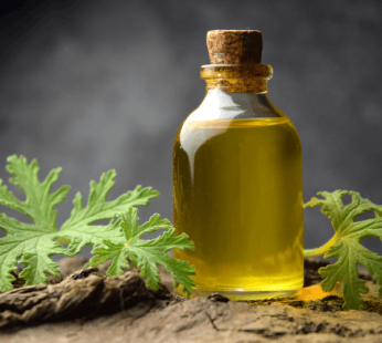 Citronella
