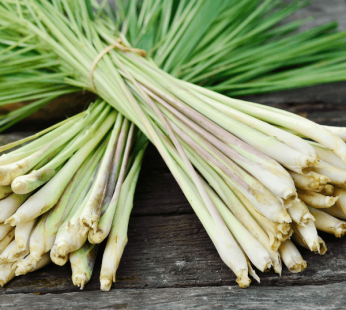 Lemongrass