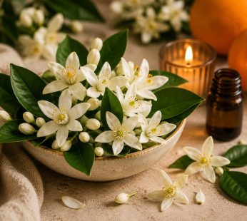 Neroli