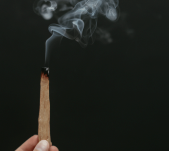 Palo Santo