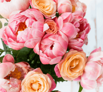 Pink Peony & Rose