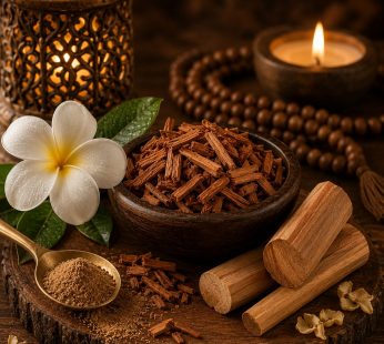 Sacred Sandalwood