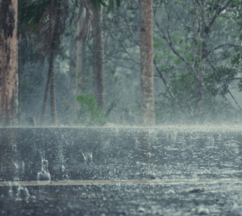 Sweet Rain