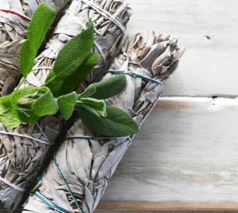 Wood Sage & Sea Salt