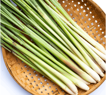 Lemongrass Essential Oil